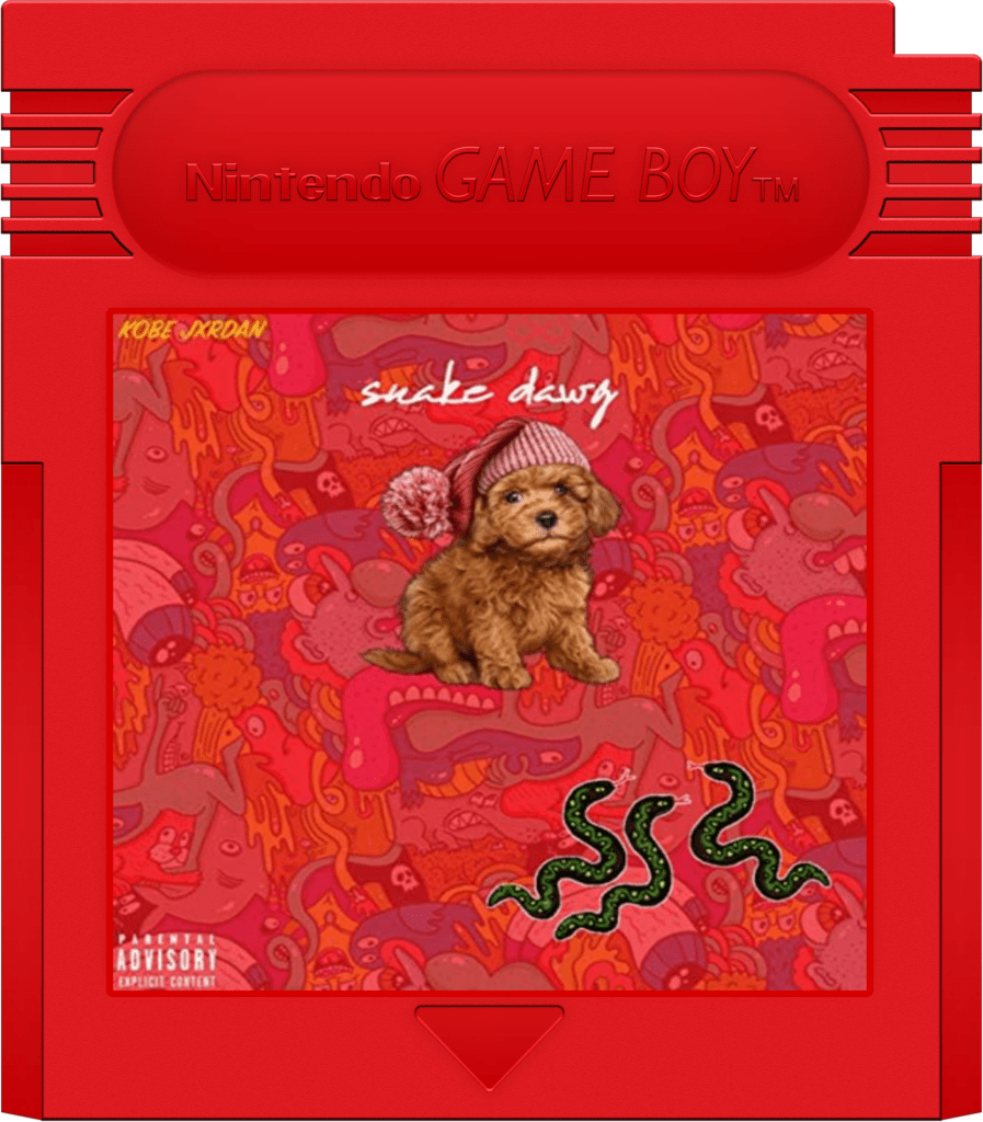 An album cover featuring a small brown puppy wearing a red knitted hat, set against a vibrant, colorful background filled with abstract shapes and patterns, with the text 'KOBE JORDAN' and 'snake dawy' prominently displayed.